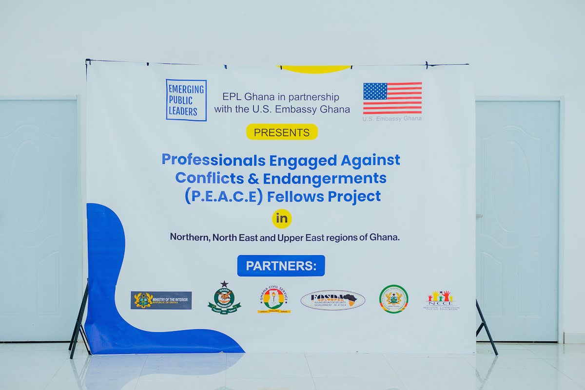 P.E.A.C.E (Professionals Engaged Against Conflict & Endangerment) Fellows Project